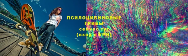 хмурый Надым